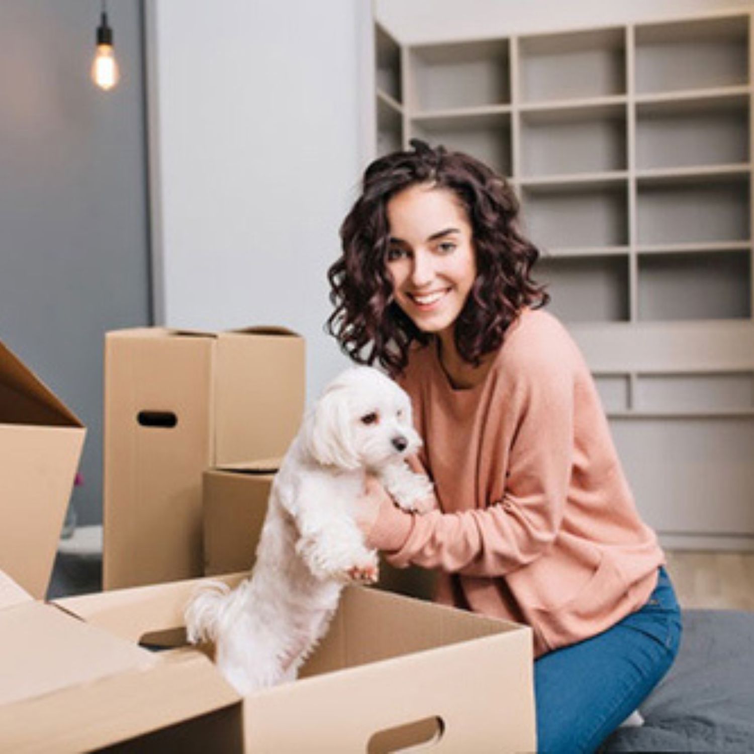 Pet Relocation Services in Vadodara